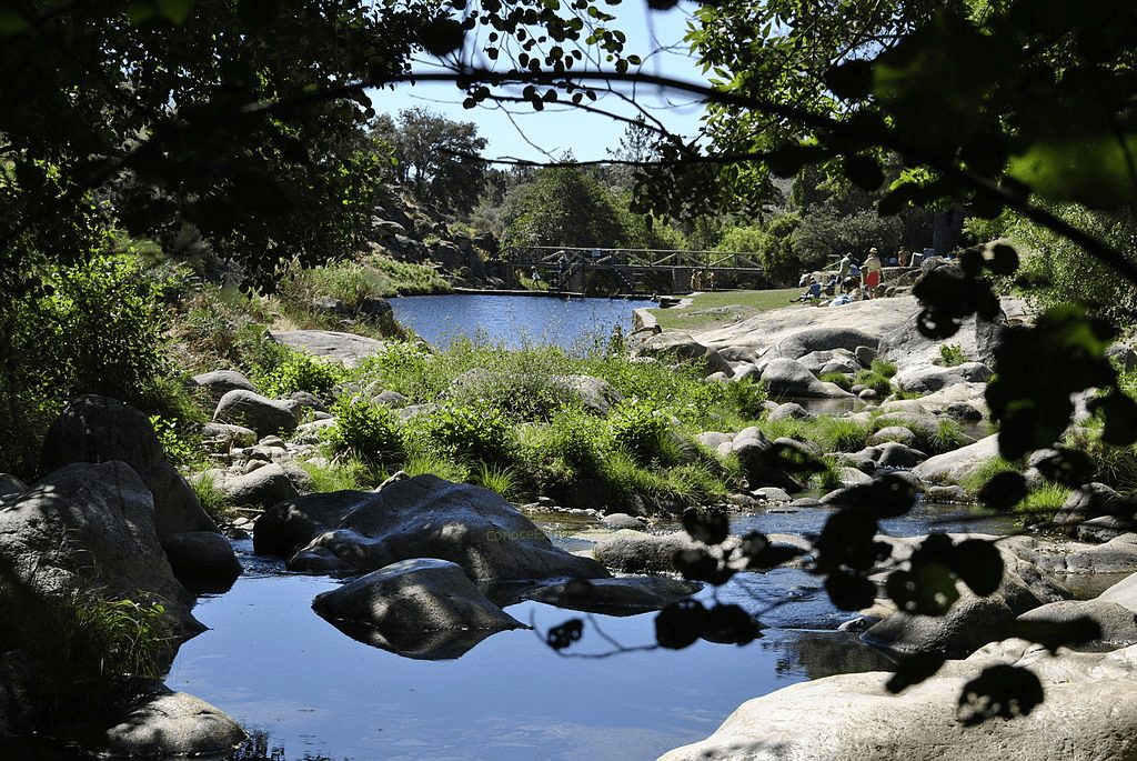 Riveras de Acebo
