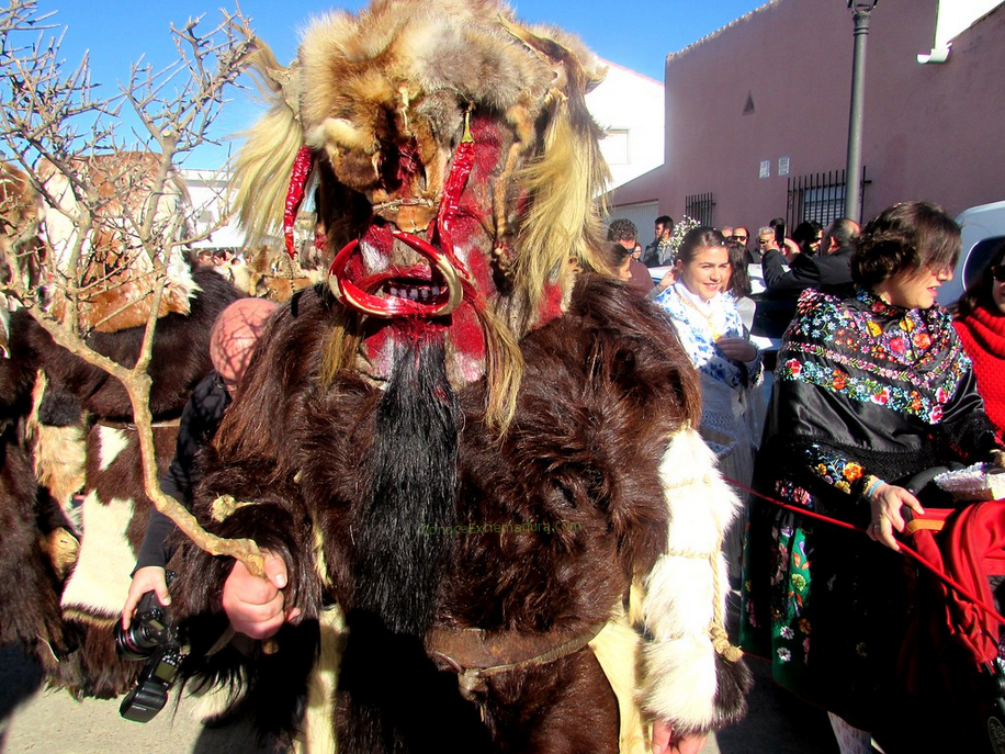 Las Carantoñas de Acehúche