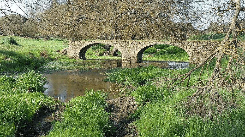 Puente, Almendral