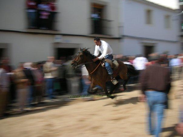 Carreras de caballos en Arroyo de la Luz