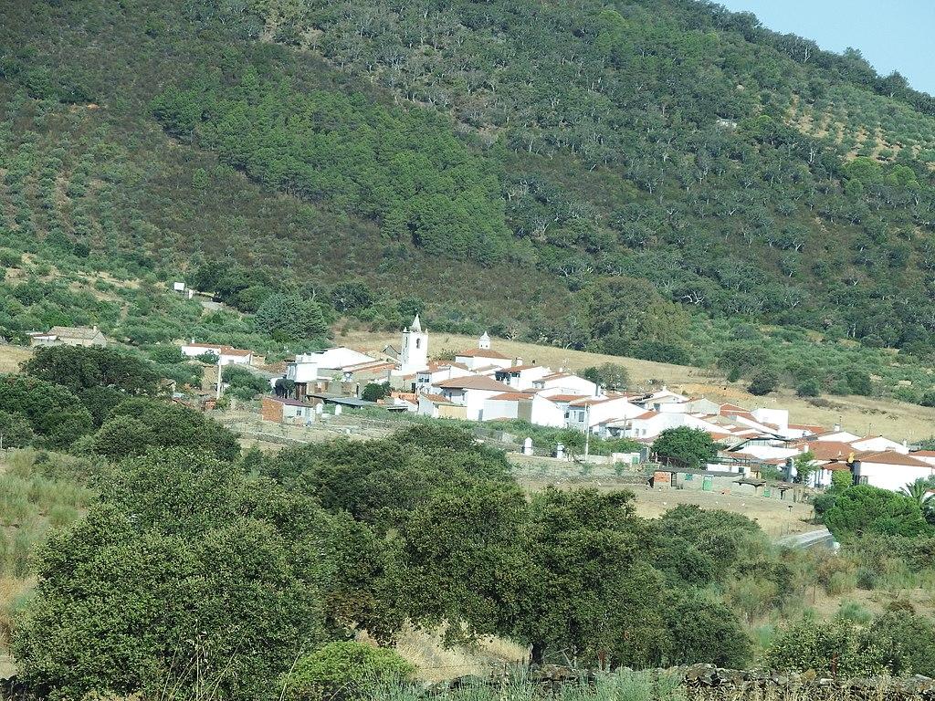 Carbajo