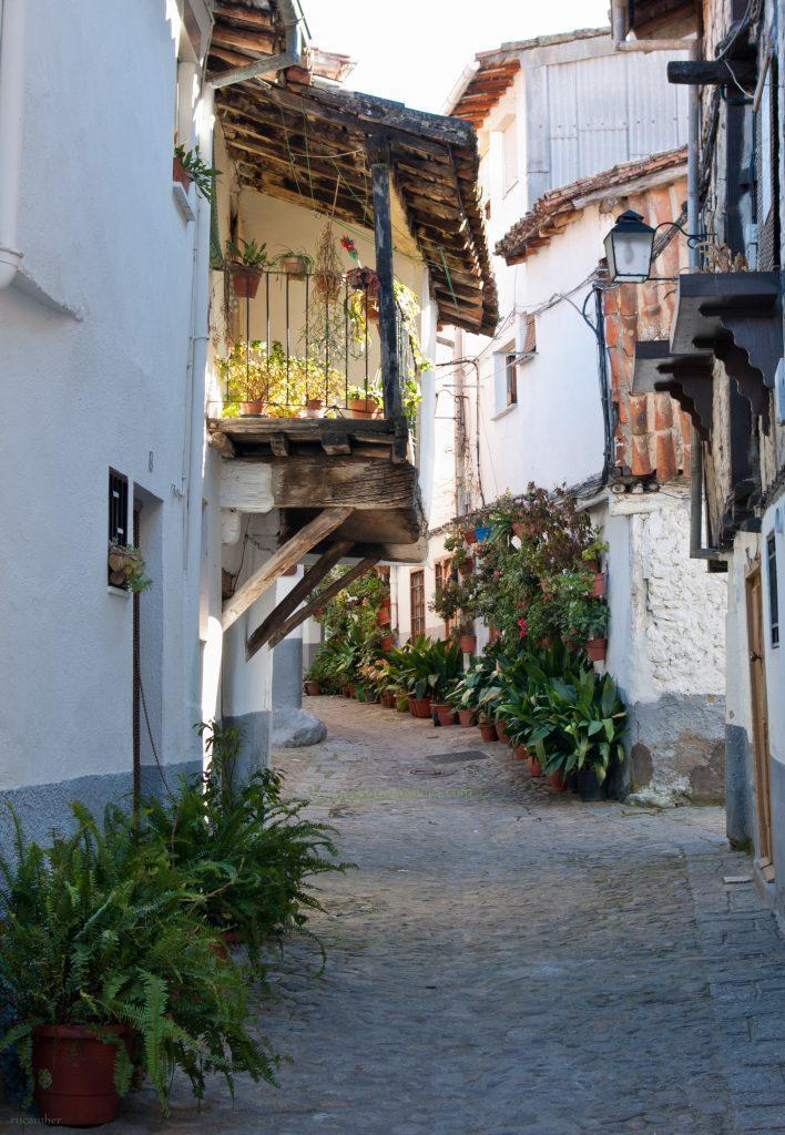 Barrio Judío, Hervás