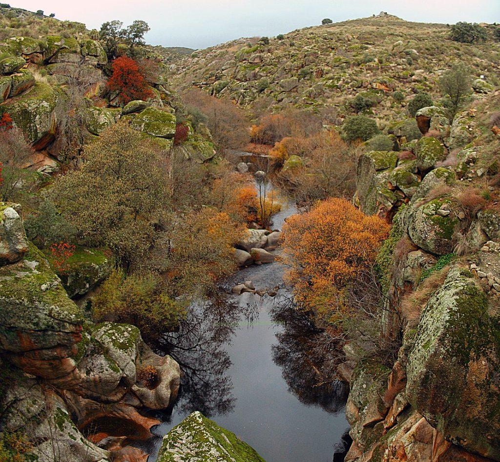 Río Ibor