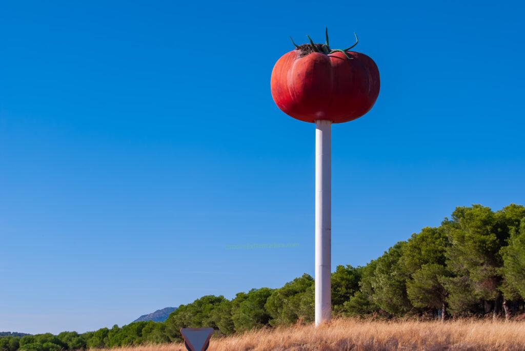 Tomate, Miajadas