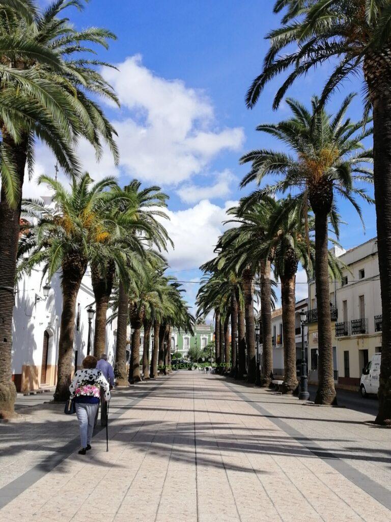 Paseo de las Palmeras, Oliva de la Frontera