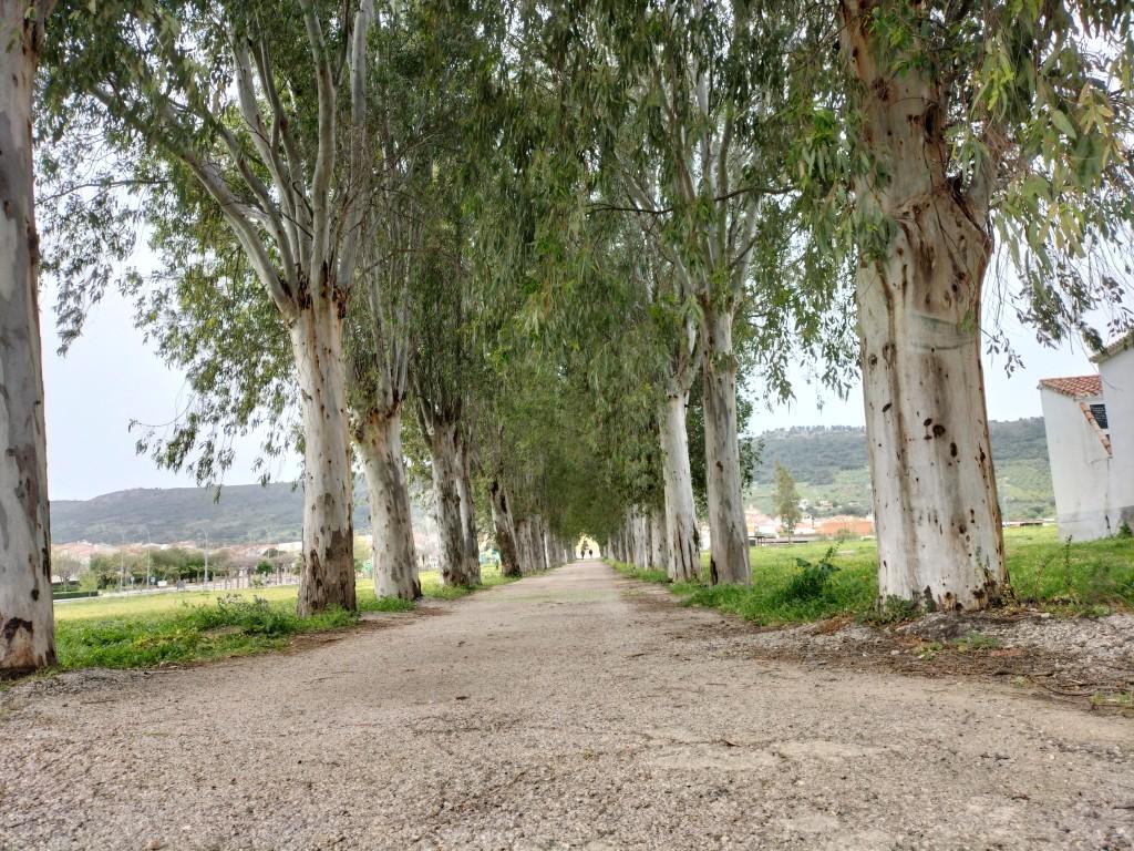 Paseo del cementerio, Serradilla