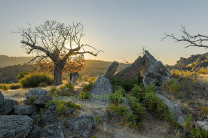 Dolmen Data II