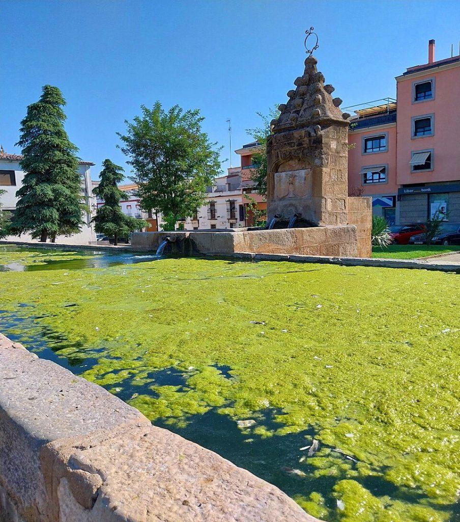 Pilar del Duque, Zafra