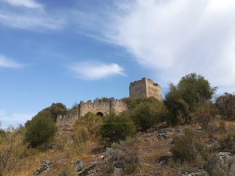 Castillo de Peñafiel, Zarza la Mayor